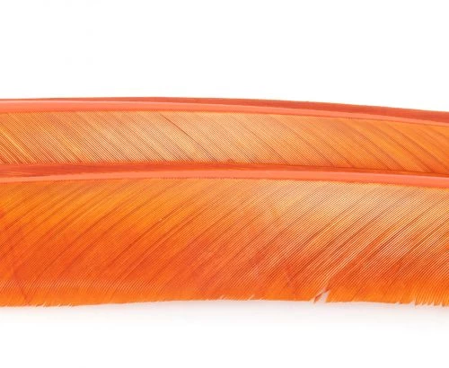 Nature's Spirit Turkey Biot Quills - Funky Fly Tying - Image 7