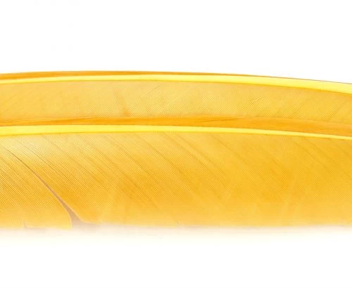 Nature's Spirit Turkey Biot Quills - Funky Fly Tying - Image 3