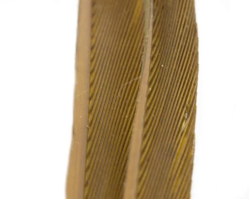 Nature's Spirit Turkey Biot Strips - Funky Fly Tying - Image 13