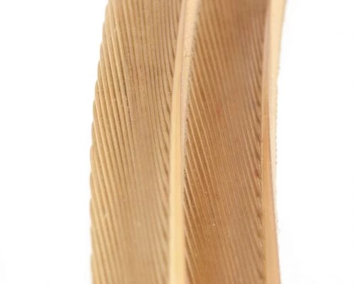 Nature's Spirit Turkey Biot Strips - Funky Fly Tying - Image 5