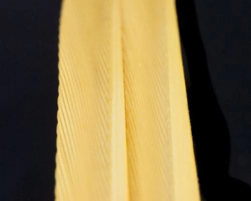 Nature's Spirit Turkey Biot Strips - Funky Fly Tying - Image 20