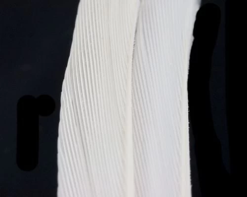 Nature's Spirit Turkey Biot Strips - Funky Fly Tying - Image 18