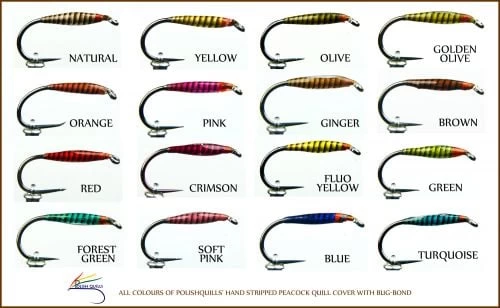 Peacock Quills By Polish Quills - Funky Fly Tying - Image 2