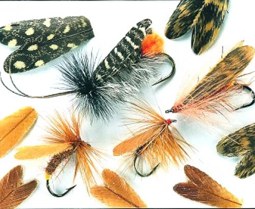 Veniard Natural Feather Caddis Wings - Funky Fly Tying