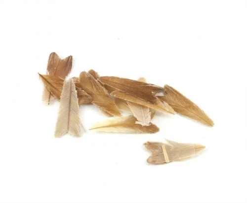 Veniard Natural Feather Caddis Wings - Funky Fly Tying - Image 10