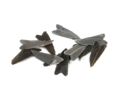 Veniard Natural Feather Caddis Wings - Funky Fly Tying - Image 3