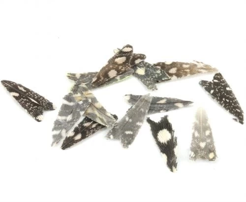 Veniard Natural Feather Caddis Wings - Funky Fly Tying - Image 6