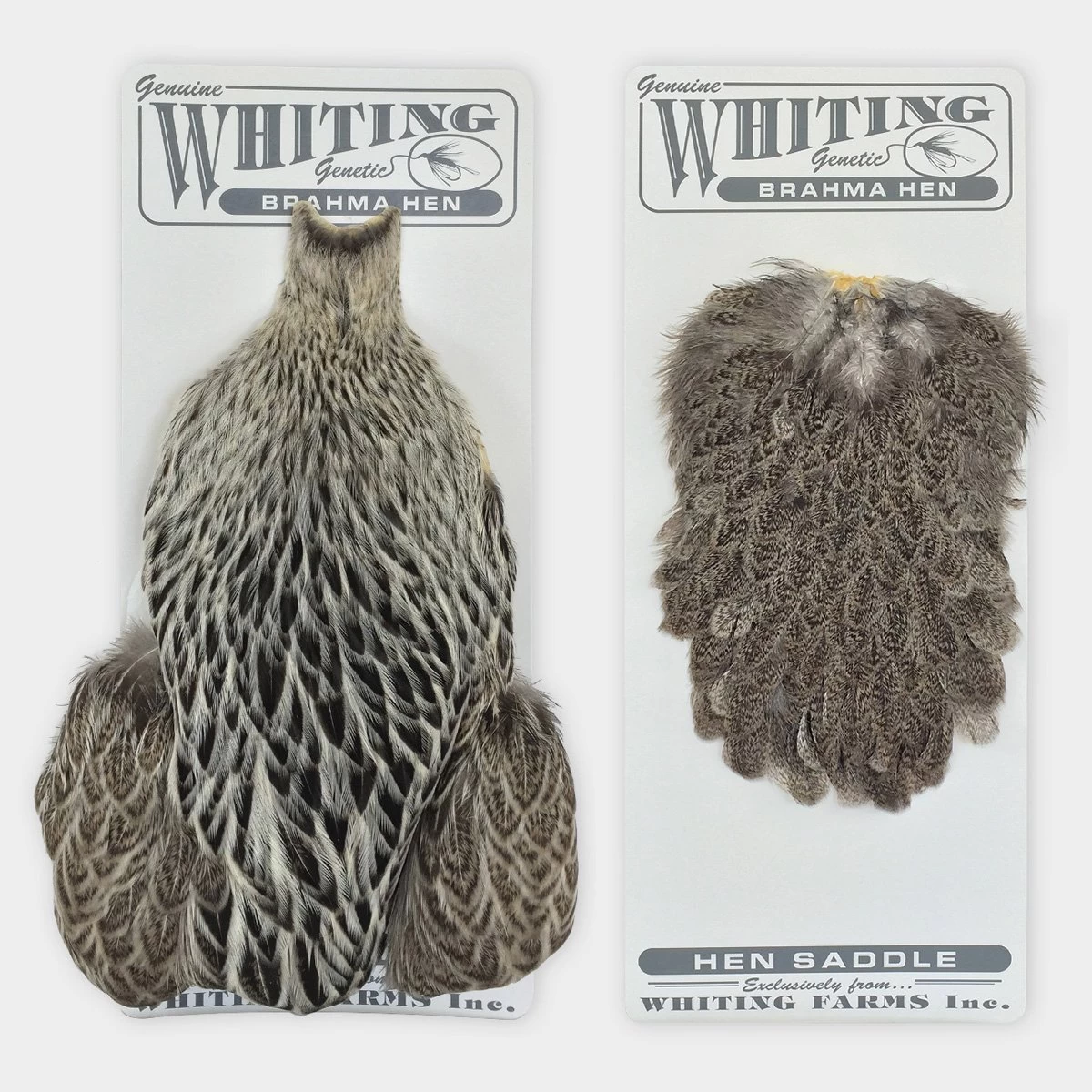 Whiting Brahma Hen Cape - Funky Fly Tying - Image 2