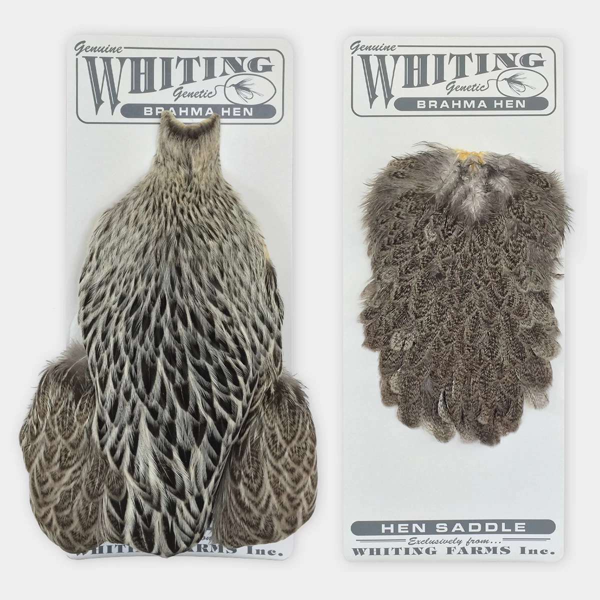 Whiting Brahma Hen Cape - Funky Fly Tying