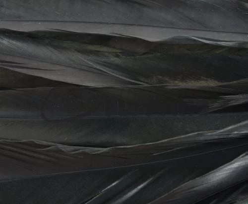 Whiting 1/4oz Loose Pack Of Schlappen - Funky Fly Tying - Image 16