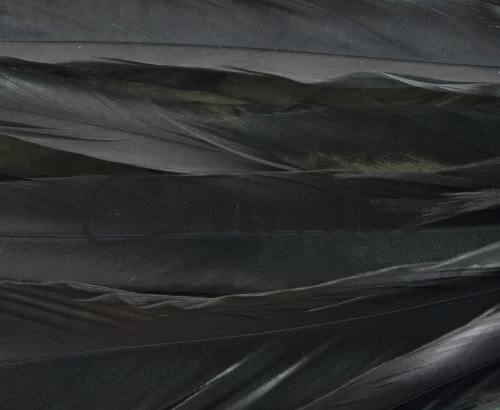 Whiting 1/4oz Loose Pack Of Schlappen - Funky Fly Tying - Image 15