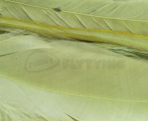 Whiting 1/4oz Loose Pack Of Schlappen - Funky Fly Tying - Image 12