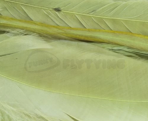 Whiting 1/4oz Loose Pack Of Schlappen - Funky Fly Tying - Image 11