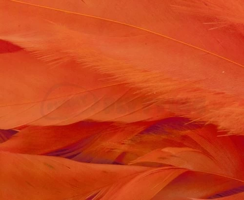 Whiting 1/4oz Loose Pack Of Schlappen - Funky Fly Tying - Image 10