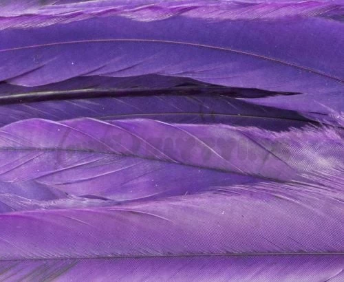 Whiting 1/4oz Loose Pack Of Schlappen - Funky Fly Tying - Image 6