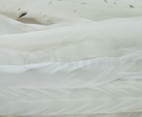 Whiting 1/4oz Loose Pack Of Schlappen - Funky Fly Tying - Image 18