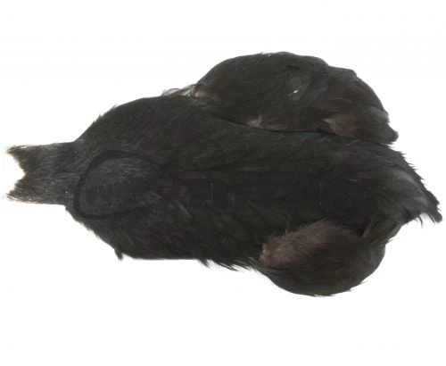 Whiting 4 B's Hen Cape - Funky Fly Tying - Image 2