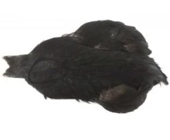 Whiting 4 B's Hen Cape - Funky Fly Tying