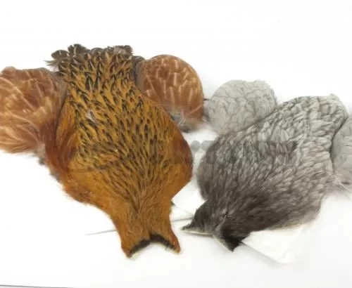 Whiting 4 B's Hen Cape - Funky Fly Tying - Image 4