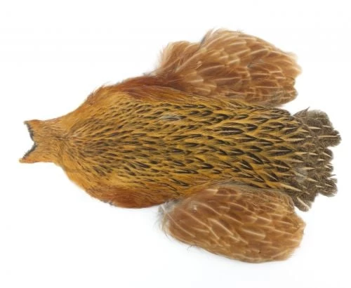 Whiting 4 B's Hen Cape - Funky Fly Tying - Image 12