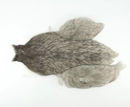 Whiting 4 B's Hen Cape - Funky Fly Tying - Image 9