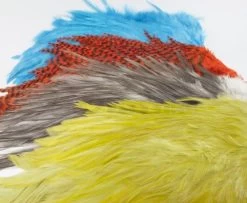 Whiting 4 B's Rooster Saddle - Funky Fly Tying