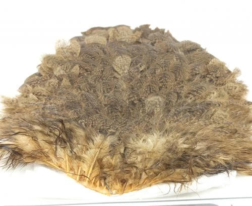 Whiting Brahma Hen Saddle - Funky Fly Tying - Image 3