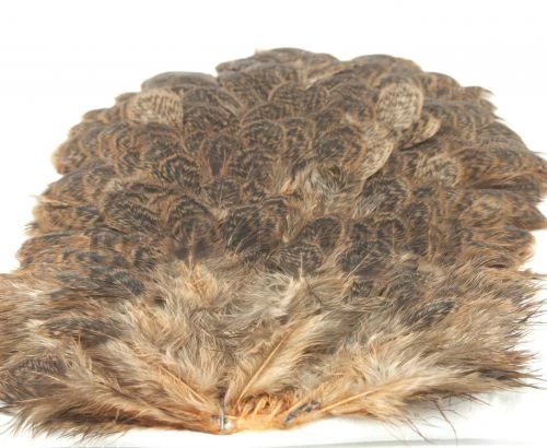 Whiting Brahma Hen Saddle - Funky Fly Tying - Image 7