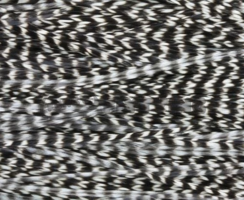 Whiting Pro Grade Saddles - Funky Fly Tying - Image 10