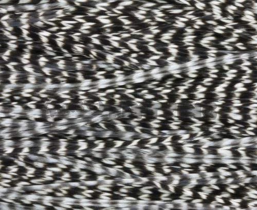 Whiting Pro Grade Saddles - Funky Fly Tying - Image 9