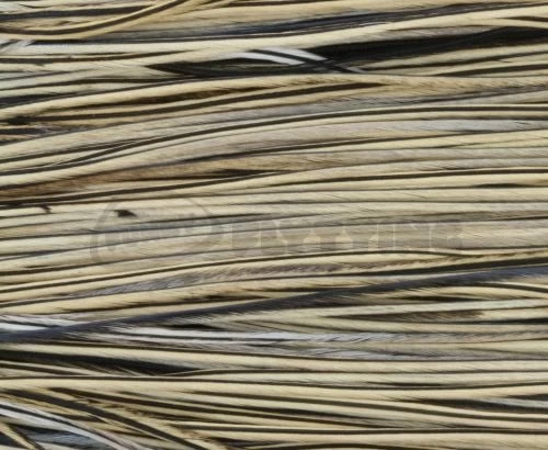 Whiting Pro Grade Saddles - Funky Fly Tying - Image 14