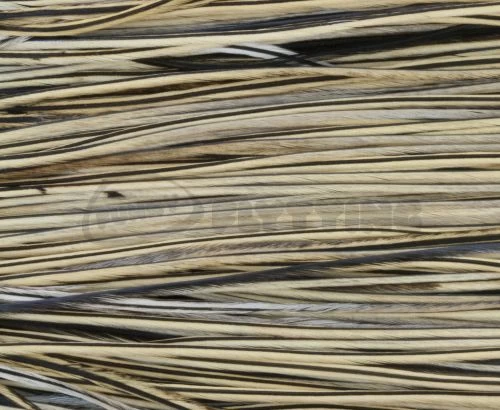 Whiting Pro Grade Saddles - Funky Fly Tying - Image 13