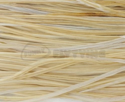 Whiting Pro Grade Saddles - Funky Fly Tying - Image 16