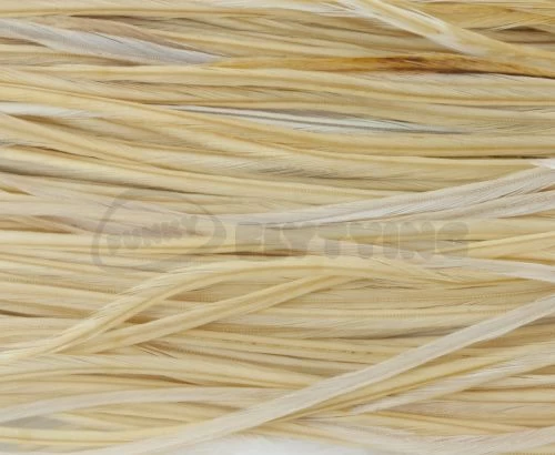 Whiting Pro Grade Saddles - Funky Fly Tying - Image 15