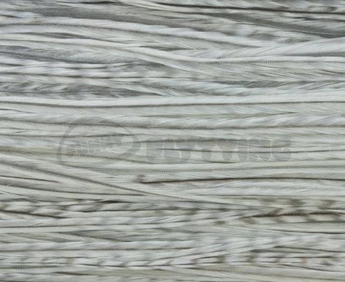 Whiting Pro Grade Saddles - Funky Fly Tying - Image 20