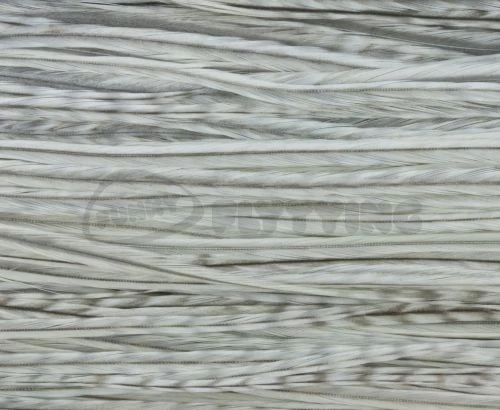 Whiting Pro Grade Saddles - Funky Fly Tying - Image 19