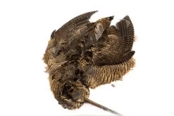 Chevron Woodcock Skin - Funky Fly Tying